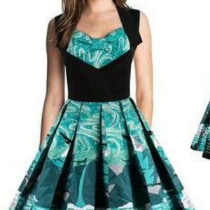 Unique Vintage Pinup dress mountain novelty print